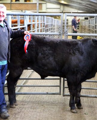 ROBUST DEMAND DRIVES LIMOUSIN TRADE TO £1,470 AT HEXHAM