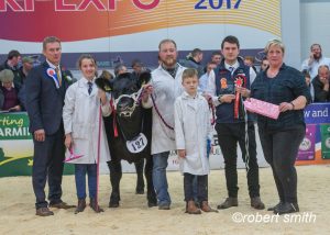 Newton of Logierait dominates show and sale of exhibition calves