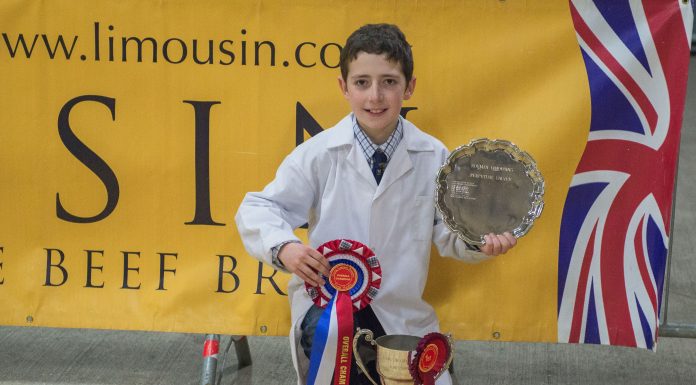 KILE DIAMOND TAKES OVERALL CHAMPIONSHIP AT YLBC YOUNG HANDLERS COMPETITION