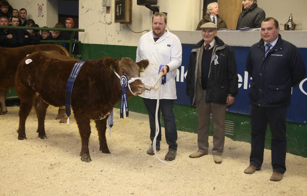 LIMOUSIN THE CLEAR BUTCHERS CHOICE AT ALLAMS | British Limousin Cattle ...