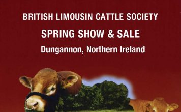 Dungannon Sale Catalogue available