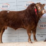 Norman Marley – 14,000gns