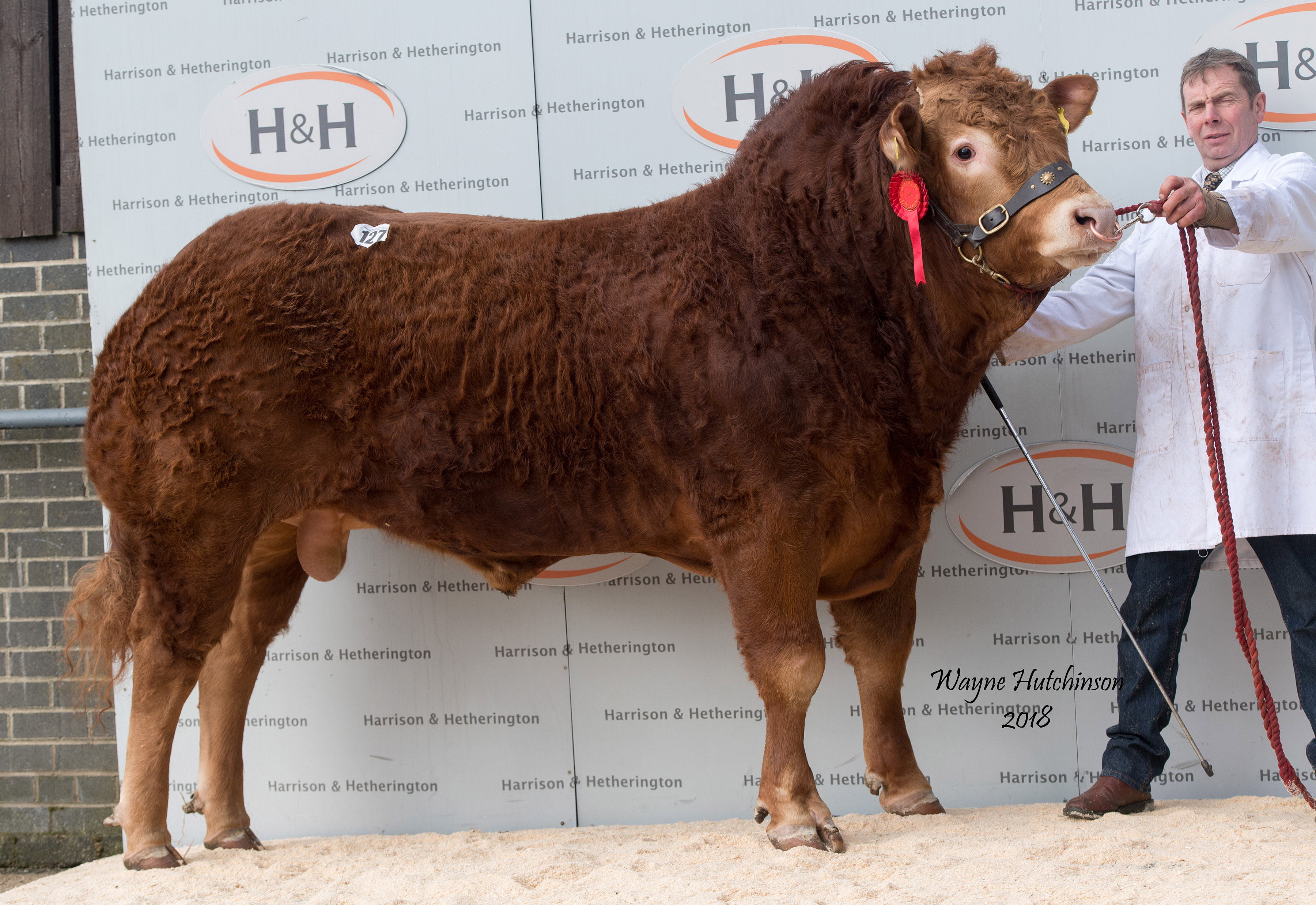 Norman Marley – 14,000gns