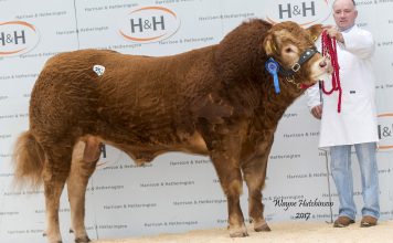 CARLISLE SALE ON THE HORIZON – CATALOGUE AVAILABLE
