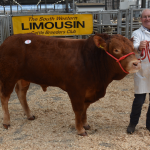 STEADY TRADE AT HOLSWORTHY SEES KILLERTON MELLOW LEAD AT 3400GNS