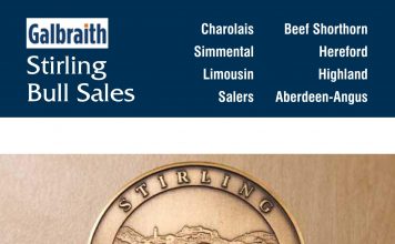 STIRLING CATALOGUE AVAILABLE TO DOWNLOAD