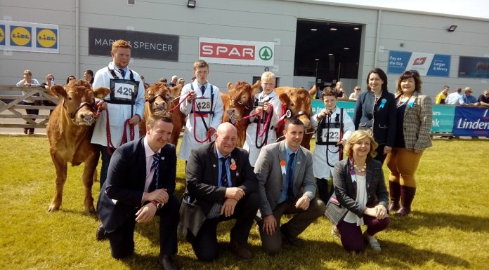 LIMOUSIN YOUNG BREEDERS AT THE FORE IN 2018 BALMORAL YOUNG HANDLERS CONTEST