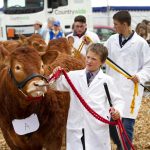 YOUNG LIMOUSIN BREEDERS WORKSHOP WEEKEND