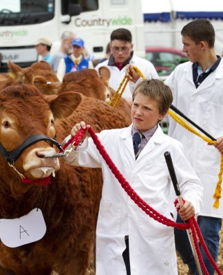 YOUNG LIMOUSIN BREEDERS WORKSHOP WEEKEND