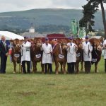 0C45440C-2B41-449A-9634-75332D773B34