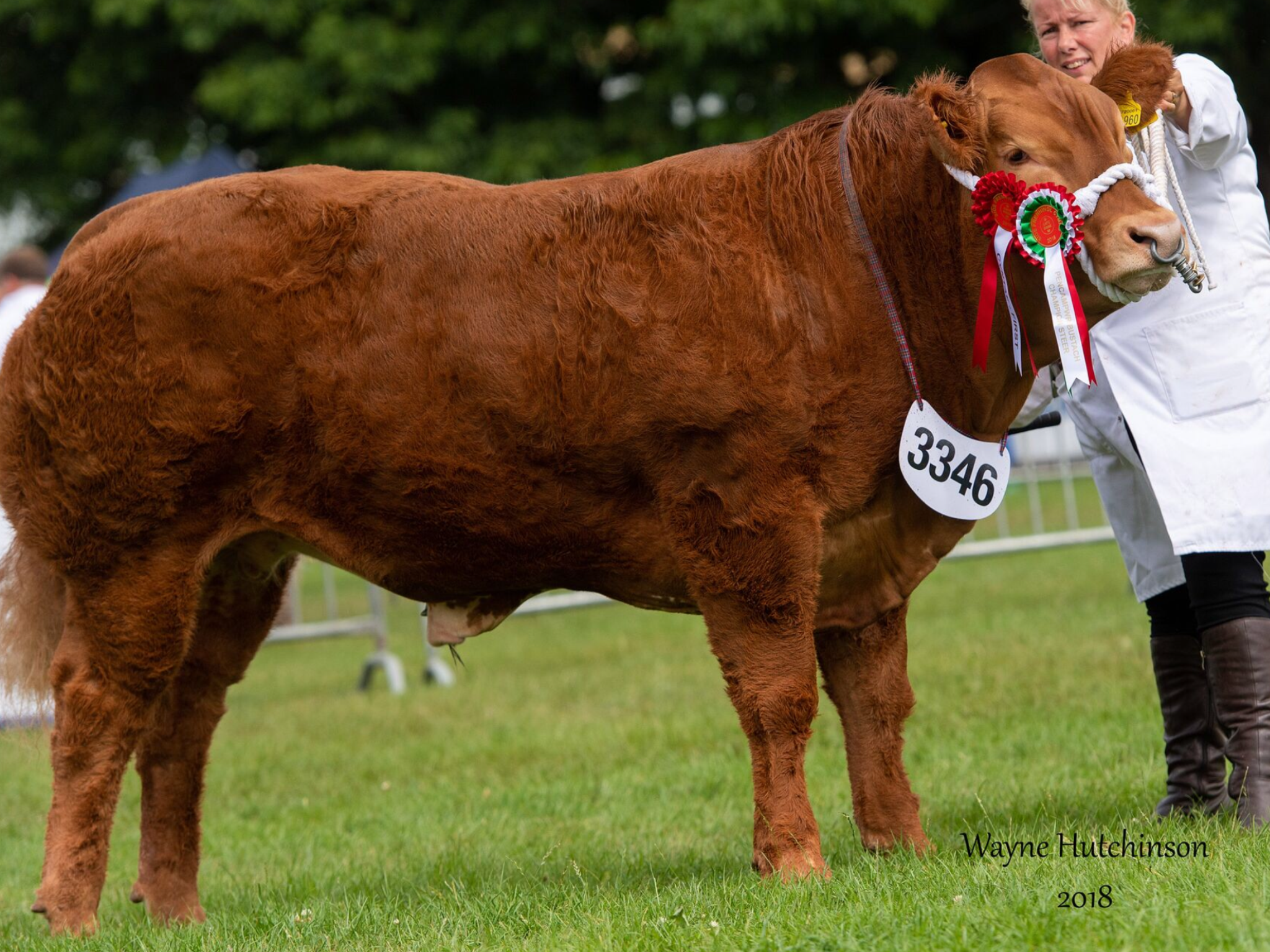 262E3A67-9CBC-442B-9495-E72214E8445A