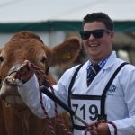 YOUNG LIMOUSIN BREEDER MATTHEW CLARK EXCELS AT GREAT YORKSHIRE SHOW