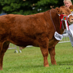 A7CC8B78-B42E-40FC-A4FB-886AB51D2E30