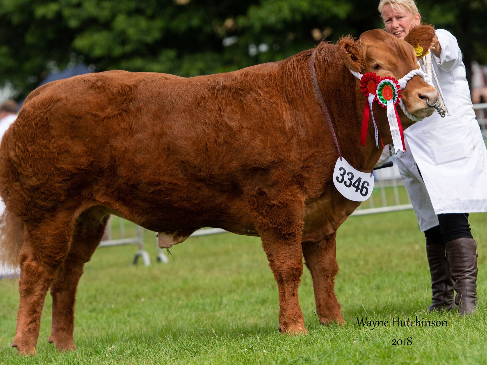 A7CC8B78-B42E-40FC-A4FB-886AB51D2E30