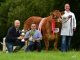 DEERPARK MAISIE TAKES SUPREME LIMOUSIN CHAMPIONSHIP TITLE AT ANTRIM SHOW
