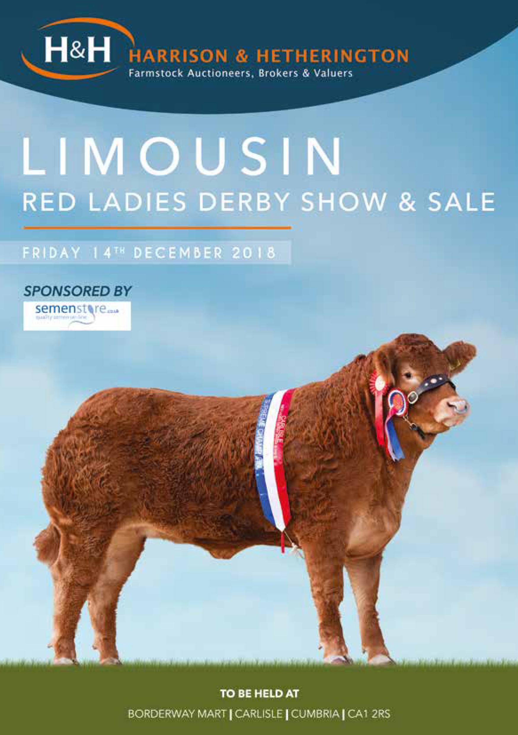 Front Cover Red Ladies British Limousin Cattle Society 0451