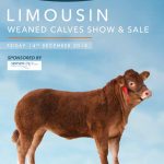 Front cover weaned calf