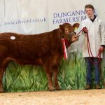 Johnstown Nico 3000 gns lot54