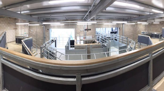 SPRING LIMOUSIN SALE SET FOR NEW MIDLANDS VENUE