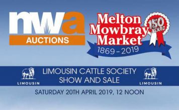 CATALOGUE NOW AVAILABLE FOR MELTON MOWBRAY LIMOUSIN SALE ON LIMSALE APP & ONLINE