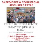 Exeter sale 2019 front cover