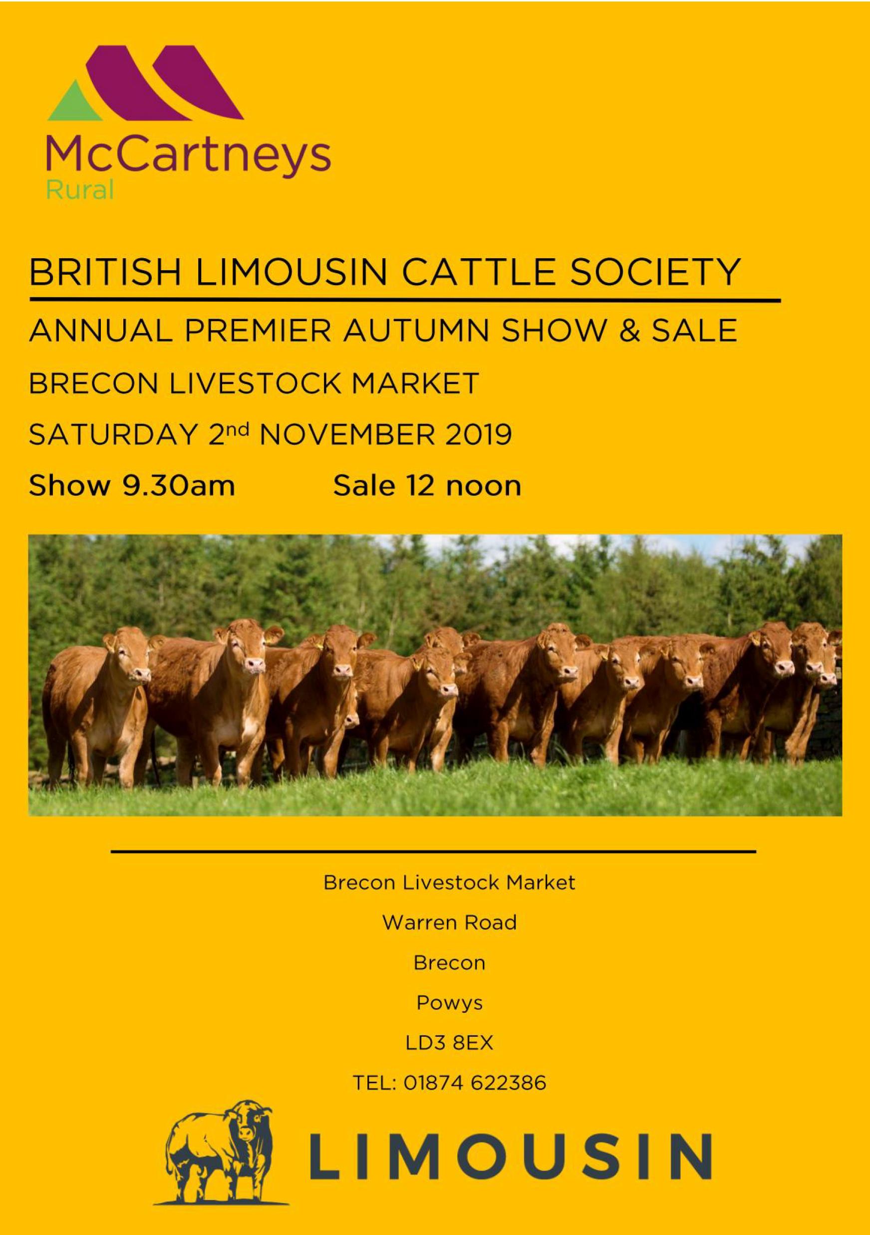 Brecon Sale British Limousin Cattle Society