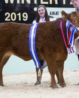 English Winter Fair 2019