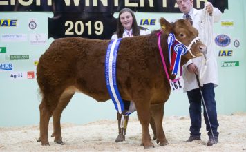 English Winter Fair 2019