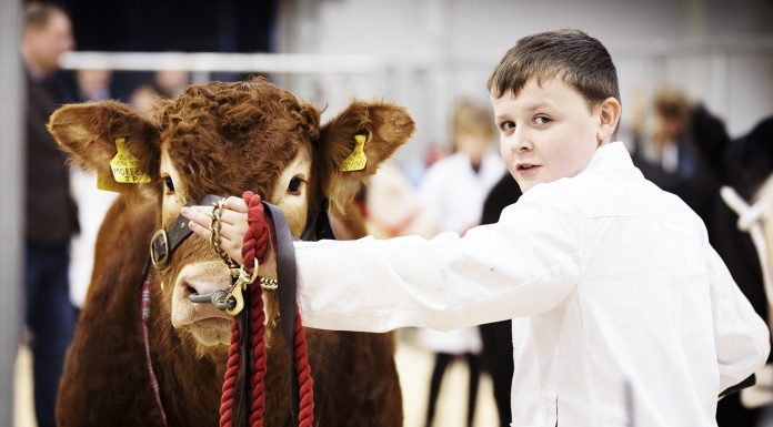 Stars Of The Future 2019