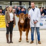 First Prize Weaned Bull Calf – Lot 107 from C Roberts