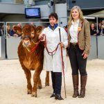 First Prize Weaned Heifer Calf – Lot 192 from Mr & Mrs ,M Alford