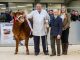RED LADIES DERBY REACHES 20,000GNS