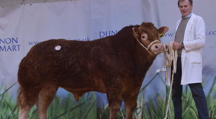 RAHONEY OBADIAH TAPPED OUT SUPREME CHAMPION IN DUNGANNON