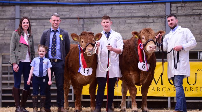 BERNISH PRINCESS JULI THE “RISING STAR” 2020