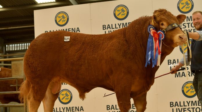 Ballymena Catalogue out now!