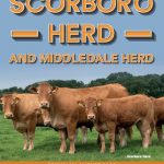 Scorboro and Middledale Herd Dispersal 21st August 2020