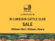 OUT NOW! HILLTOWN CATALOGUE