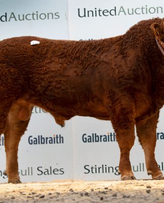 Allanfauld Leading Solid Commercial Trade at Stirling