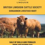 Dunagnnon October Sale