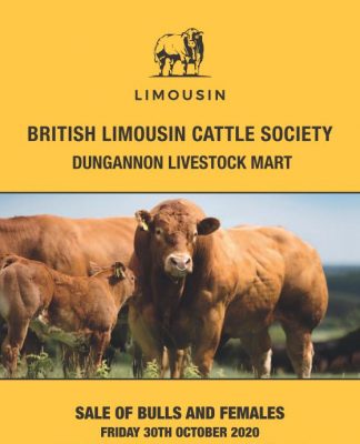 Dunagnnon October Sale