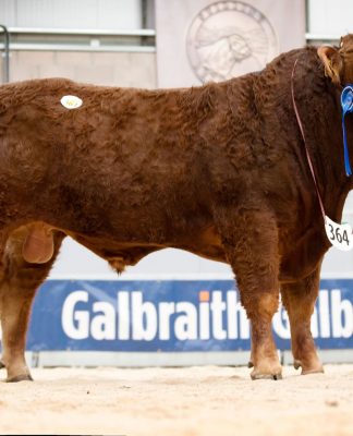 Stirling February 2021 Sale Catalogue Out Now!
