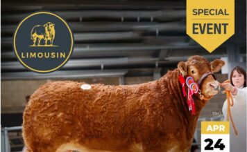 Melton Mowbray April Sale – Catalogue OUT NOW!