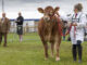 Great Yorkshire Show Results