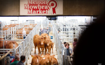 MELTON MOWBRAY REPORT