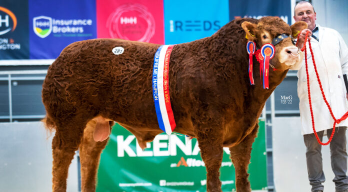 Time for Pabo Rolex to top the trade