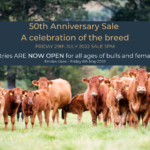 Entries ARE NOW OPEN for all ages of bulls and females (1)