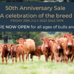 Entries-ARE-NOW-OPEN-for-all-ages-of-bulls-and-females