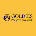 Goldies-Website-Launch-Facebook-Profile-Pic-1