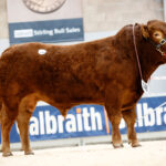 Stirling May 2022 catalogue