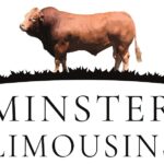 minster-limousins-logo-new-1